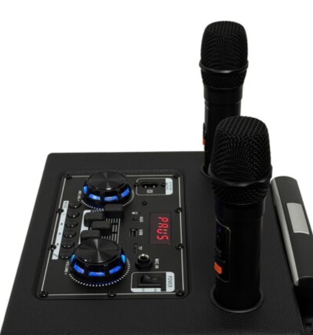 Ven-Dens Party Speaker – 2 Mics