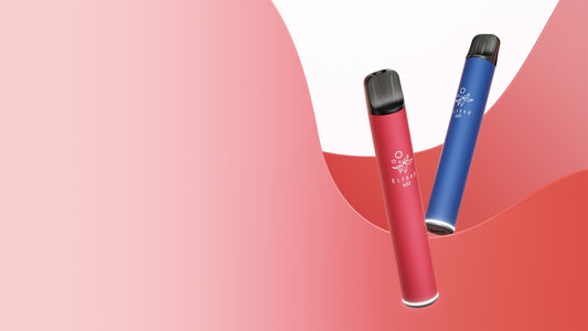 ELF BAR 600 Disposable Vape